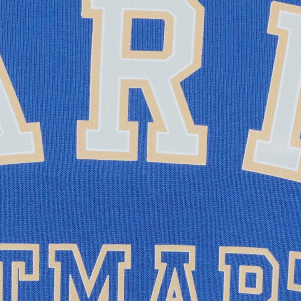 MARTA DU CHATEAU Marta du chateau Dam Sweatshirt MdcOceana 261838 Sweatshirt Royal16